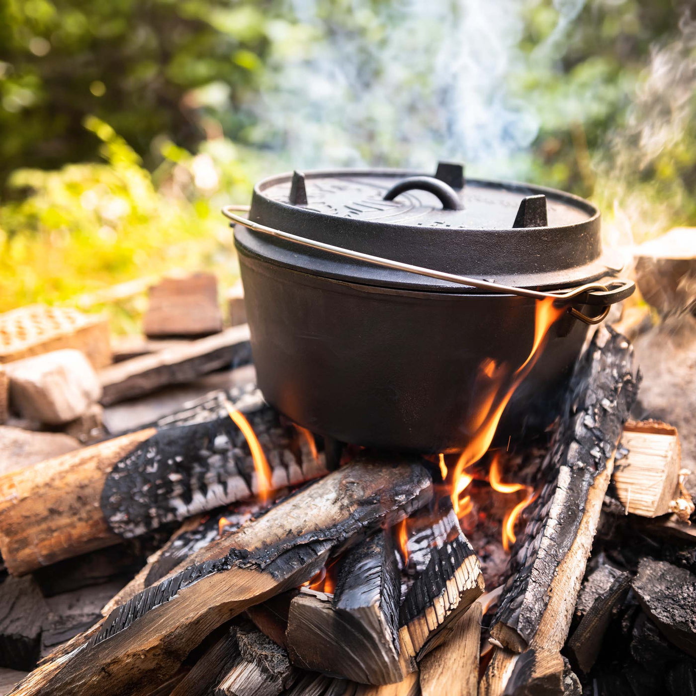 Dutch Oven Gewürzmischung
